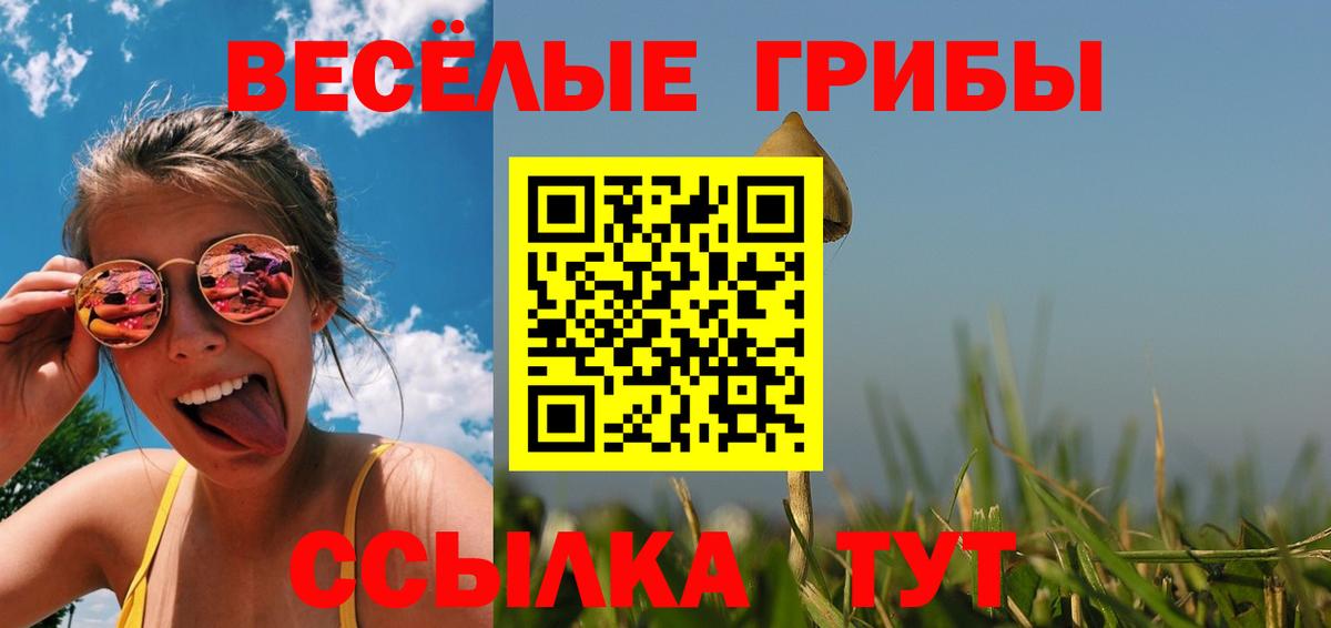 Электрогорск  Галлюциногенные грибы Psilocybine cubensis  закладки  Вход с VPN 